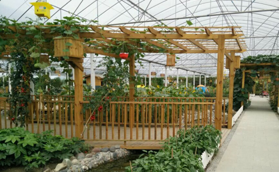 成都生態(tài)餐廳客戶見(jiàn)證